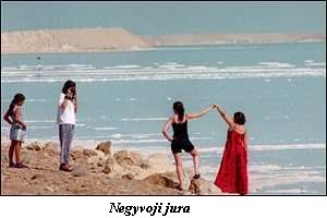 Negyvoji j�ra