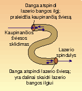 2 pav.