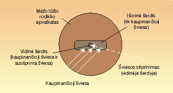 3 pav.