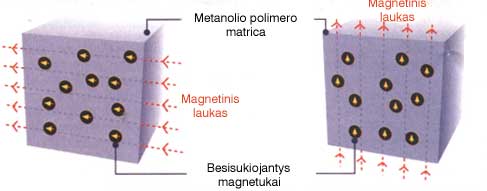 Magnetukai