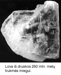 Druskos kristalas