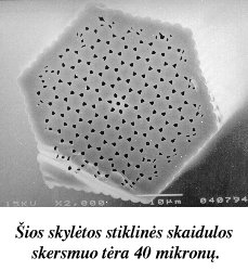 Skaidula