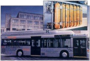 Nebus