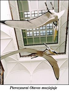 Pterozaurai